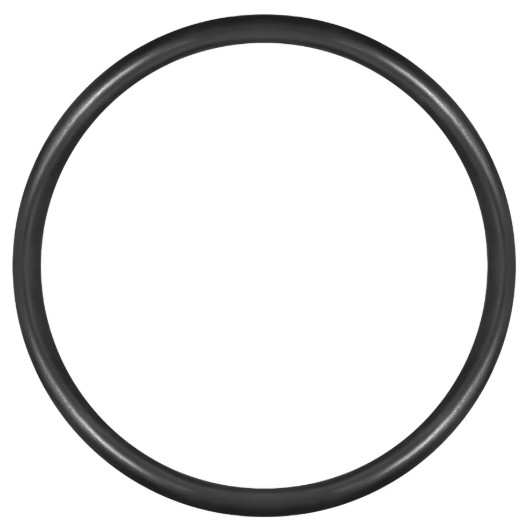 CTBW Gasket